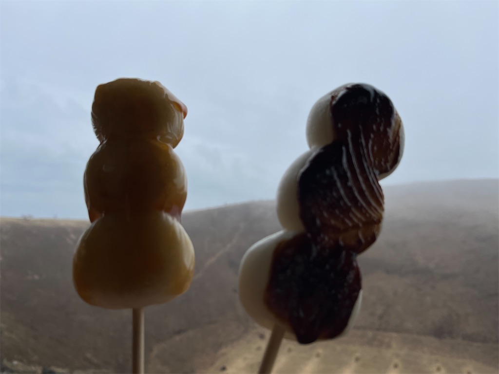 f:id:narutabi:20240328212129j:image