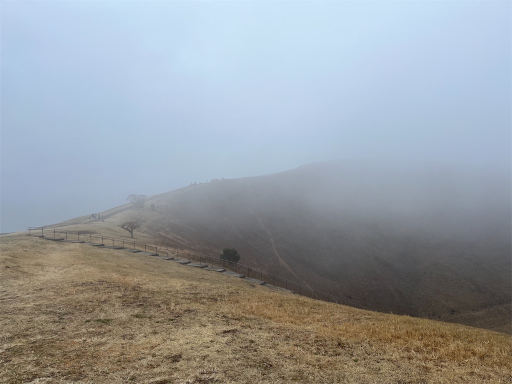 f:id:narutabi:20240328212225j:image