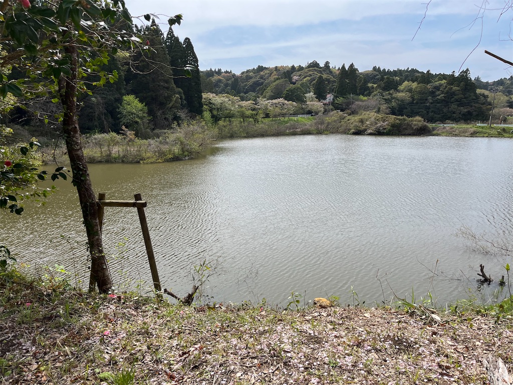 f:id:narutabi:20240415203610j:image