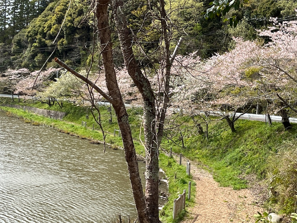 f:id:narutabi:20240415203616j:image