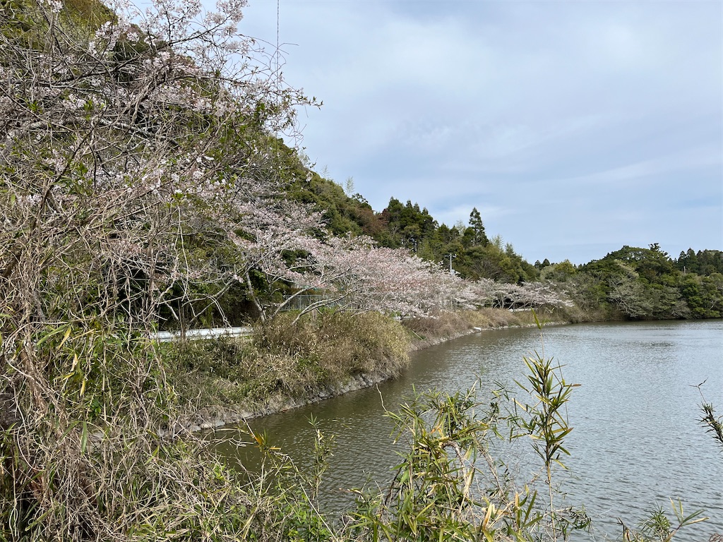 f:id:narutabi:20240415203624j:image