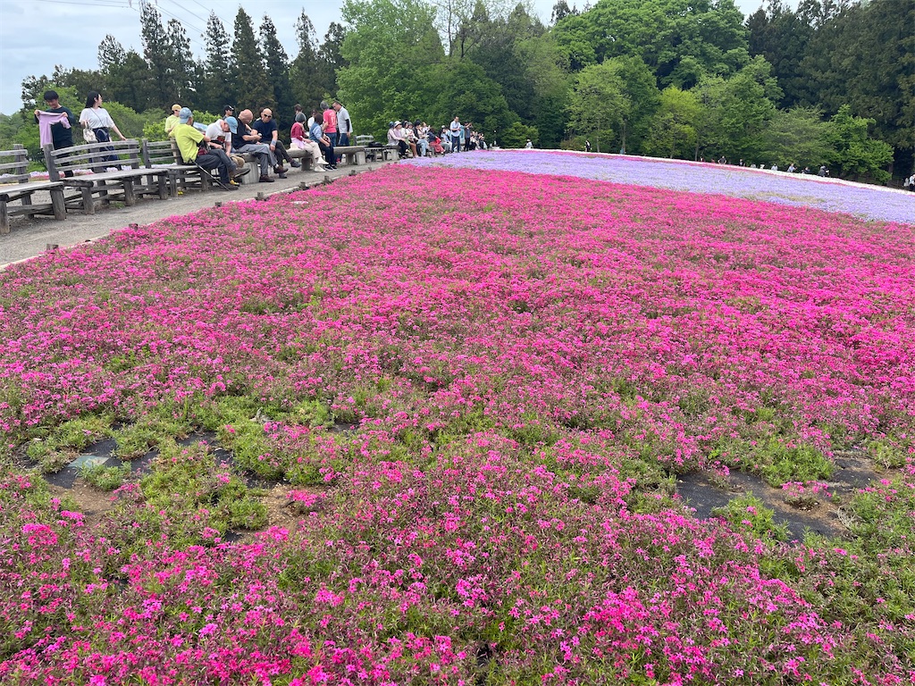 f:id:narutabi:20240501221651j:image