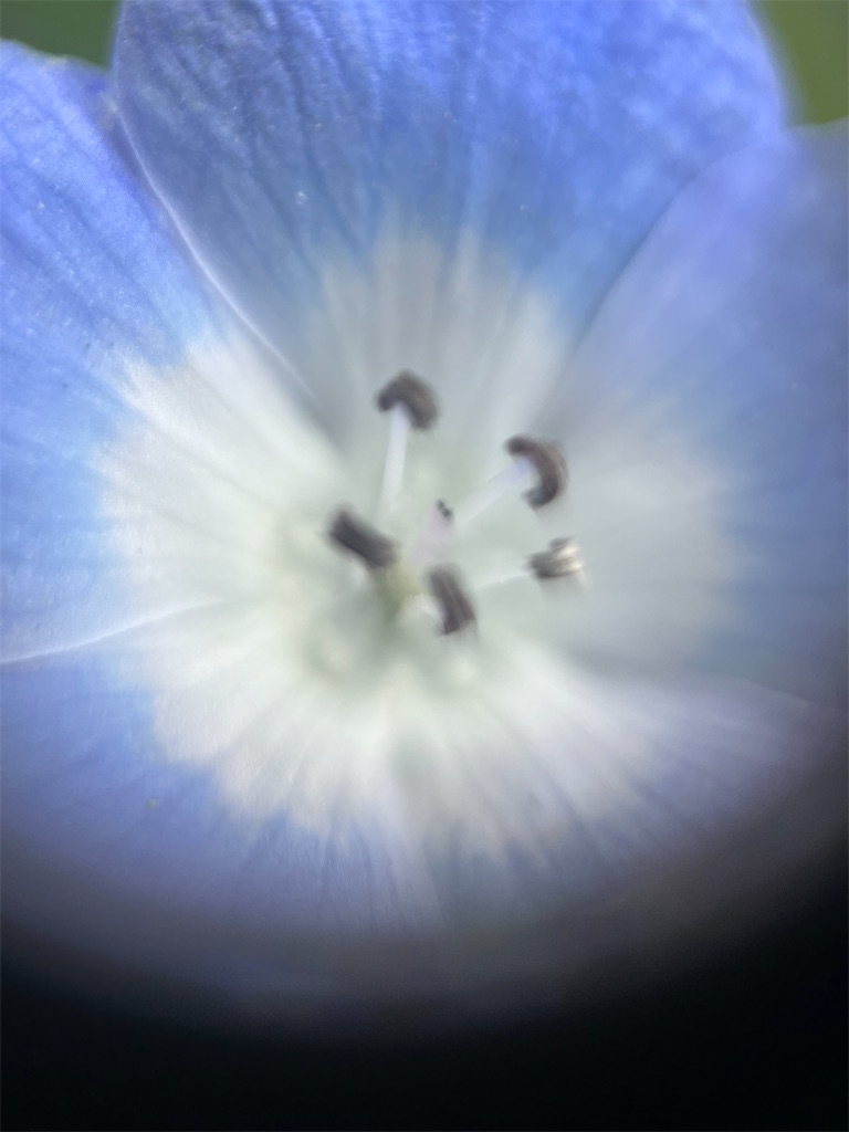 f:id:narutabi:20240501221700j:image