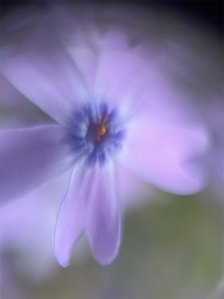 f:id:narutabi:20240501221703j:image