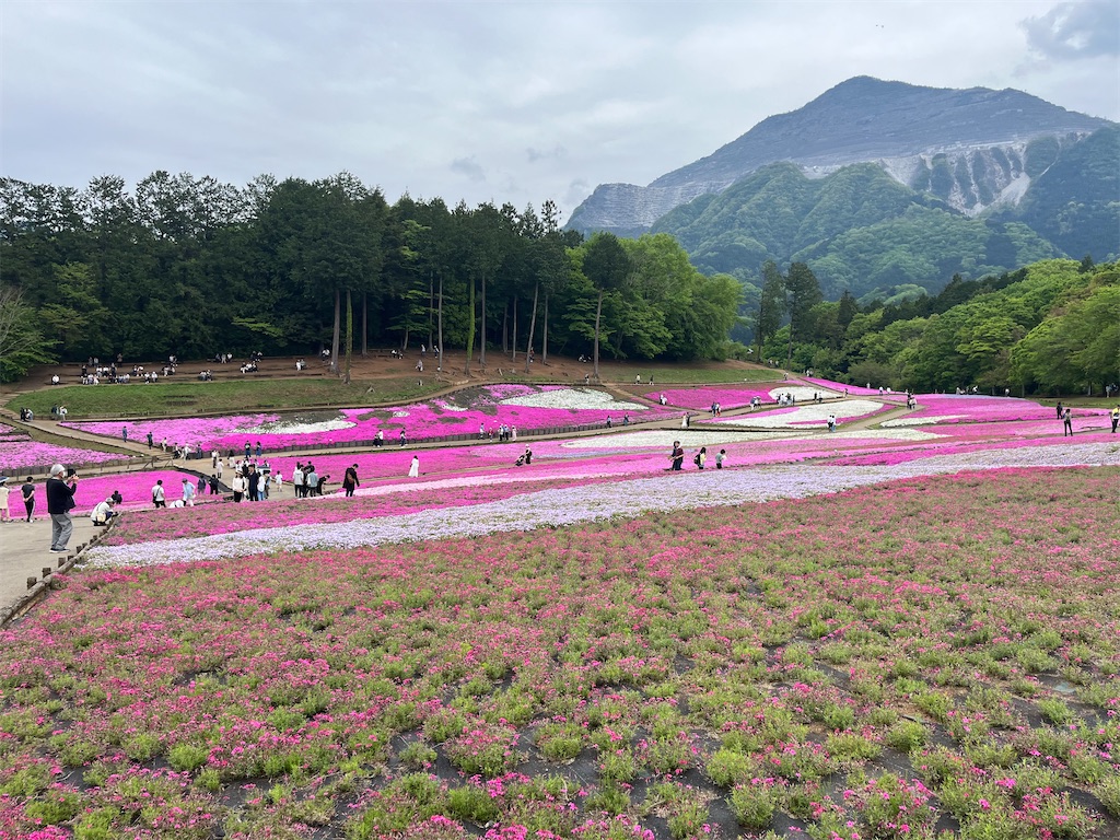 f:id:narutabi:20240501221707j:image
