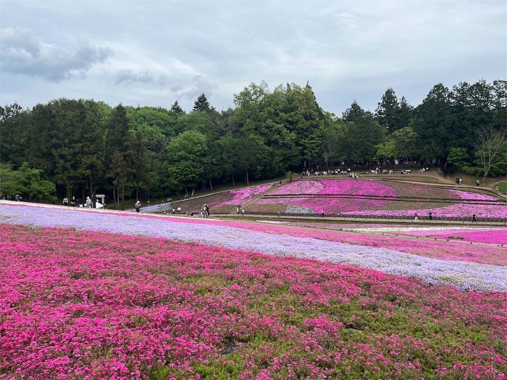 f:id:narutabi:20240501221710j:image