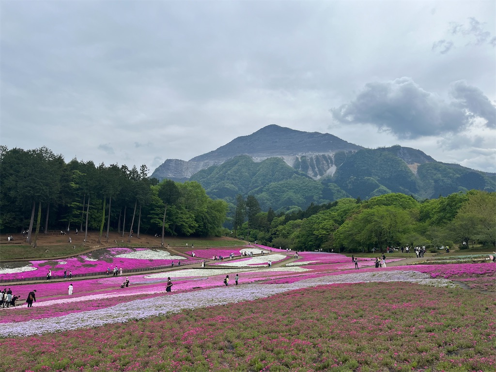f:id:narutabi:20240501221729j:image