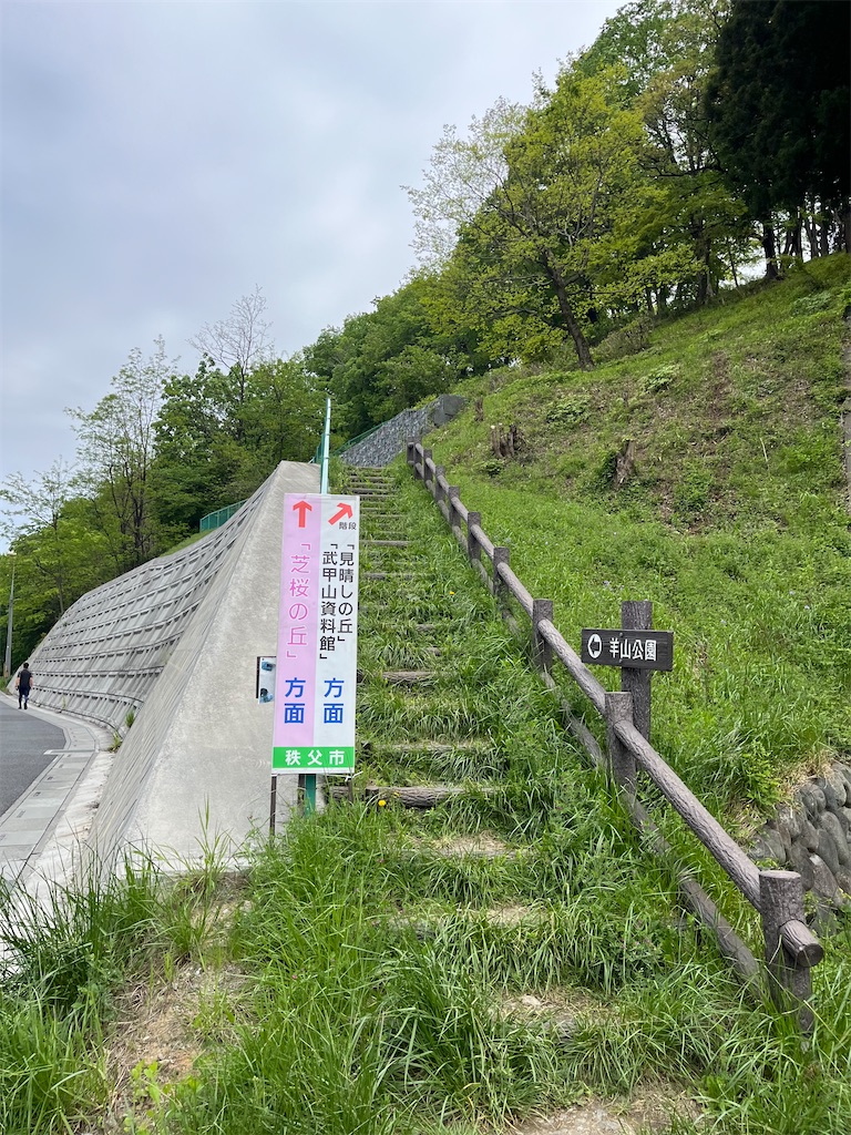 f:id:narutabi:20240501221735j:image