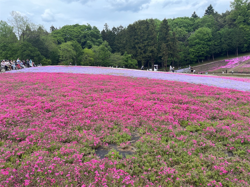 f:id:narutabi:20240501221742j:image