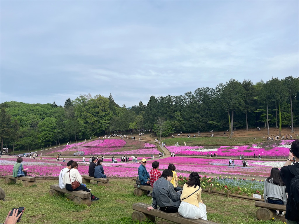 f:id:narutabi:20240501221747j:image