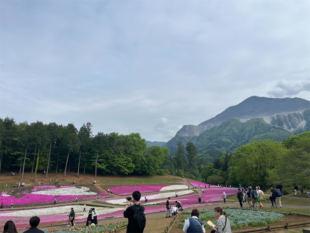 f:id:narutabi:20240501221752j:image