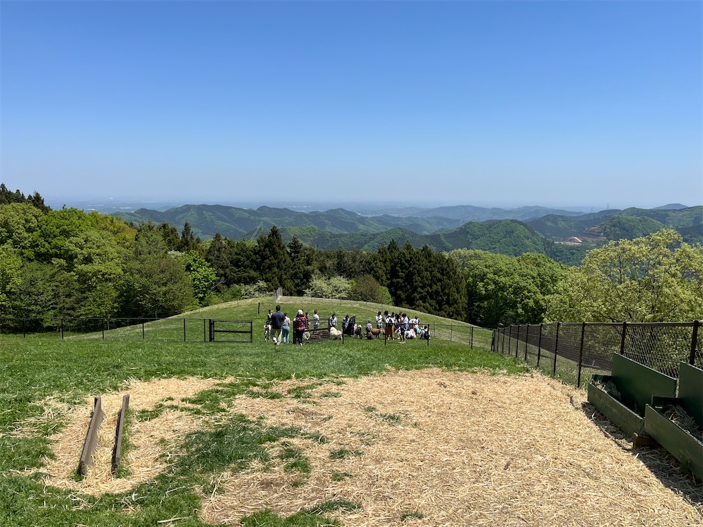 f:id:narutabi:20240503214904j:image