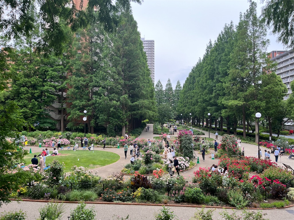 f:id:narutabi:20240522211433j:image