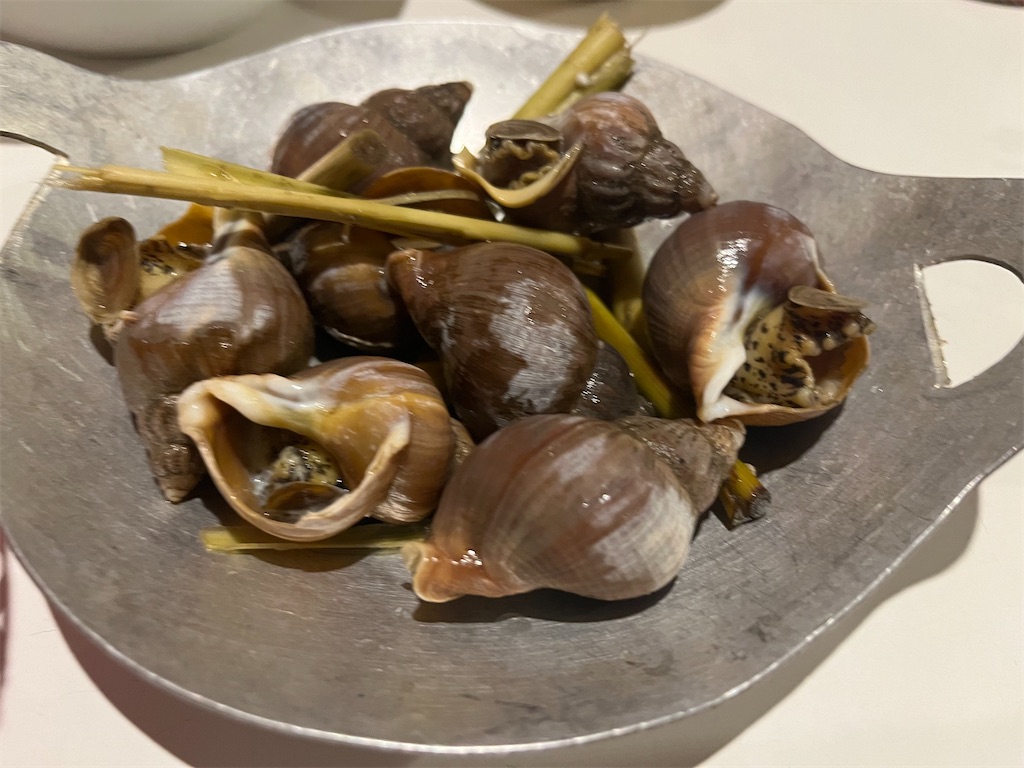 f:id:narutabi:20240604200957j:image
