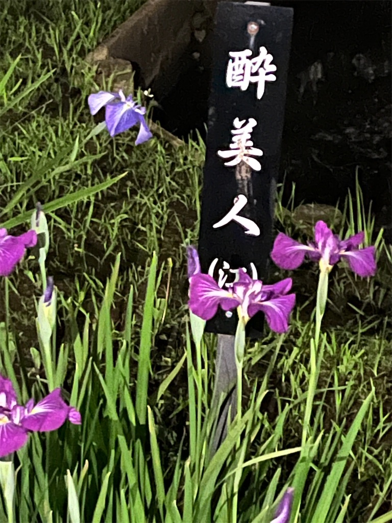 f:id:narutabi:20240604205131j:image