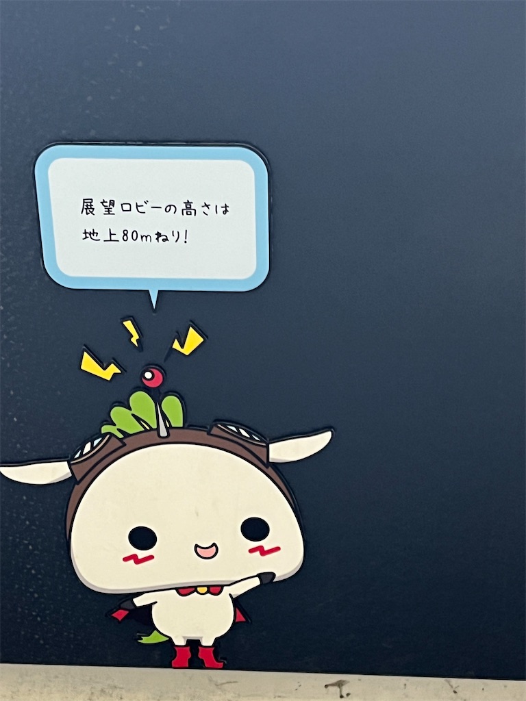 f:id:narutabi:20240610232317j:image f:id:narutabi:20240610232317j:image