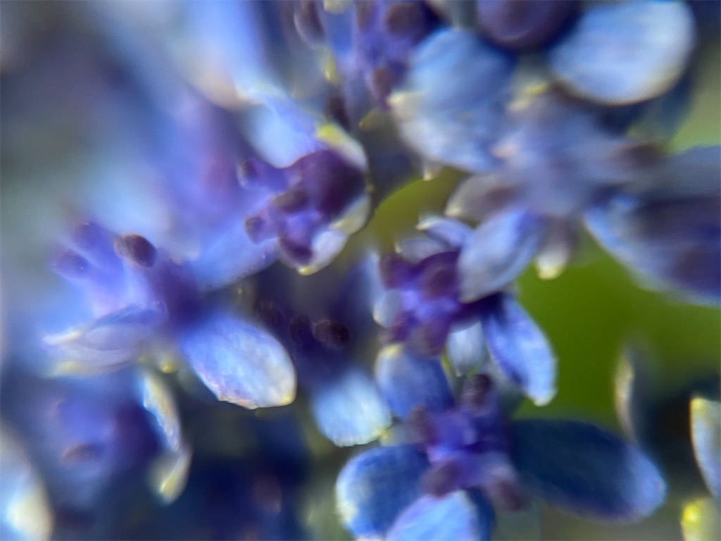 f:id:narutabi:20240617131009j:image