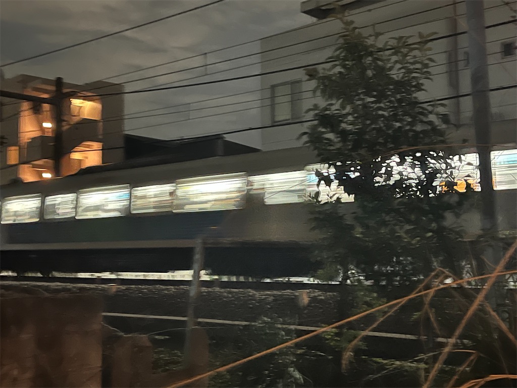 f:id:narutabi:20240624231412j:image