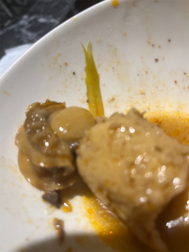 f:id:narutabi:20240713093222j:image