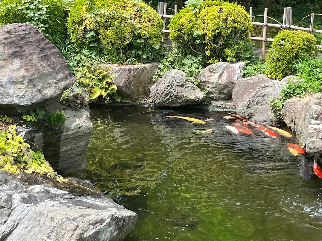 f:id:narutabi:20240729202812j:image f:id:narutabi:20240729202812j:image