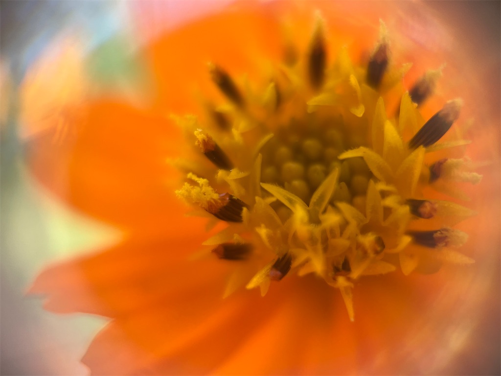f:id:narutabi:20240818012028j:image
