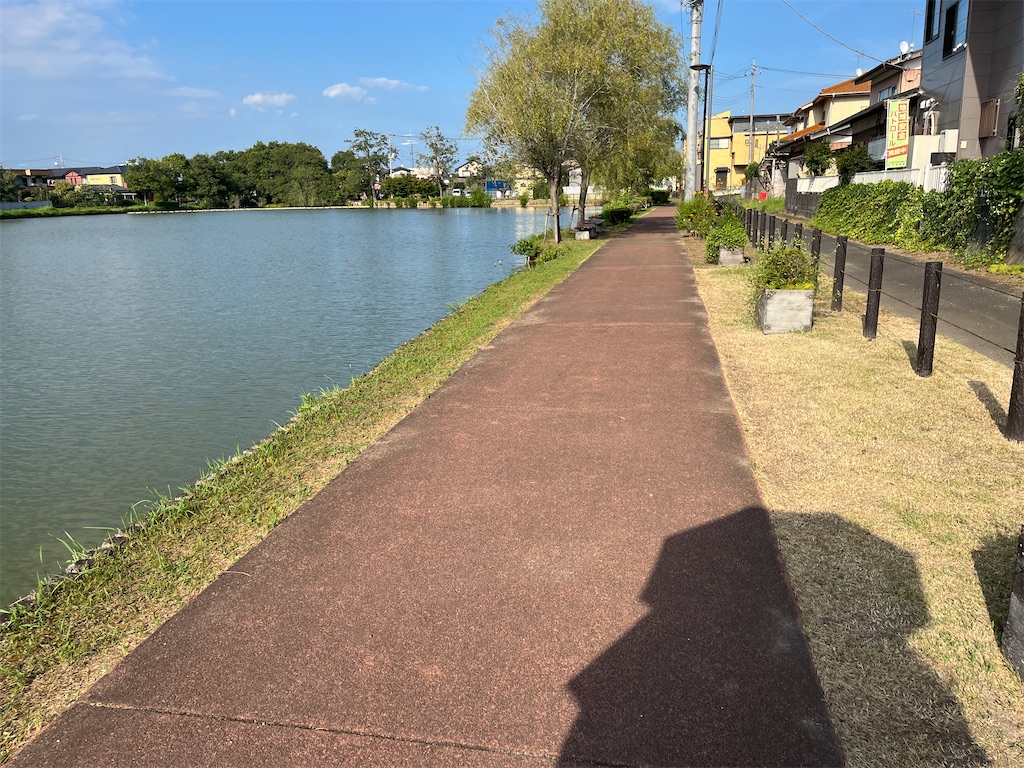 f:id:narutabi:20240819084449j:image