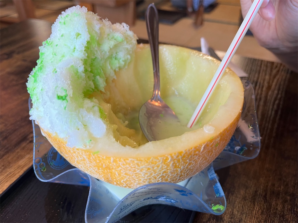 f:id:narutabi:20240819084526j:image