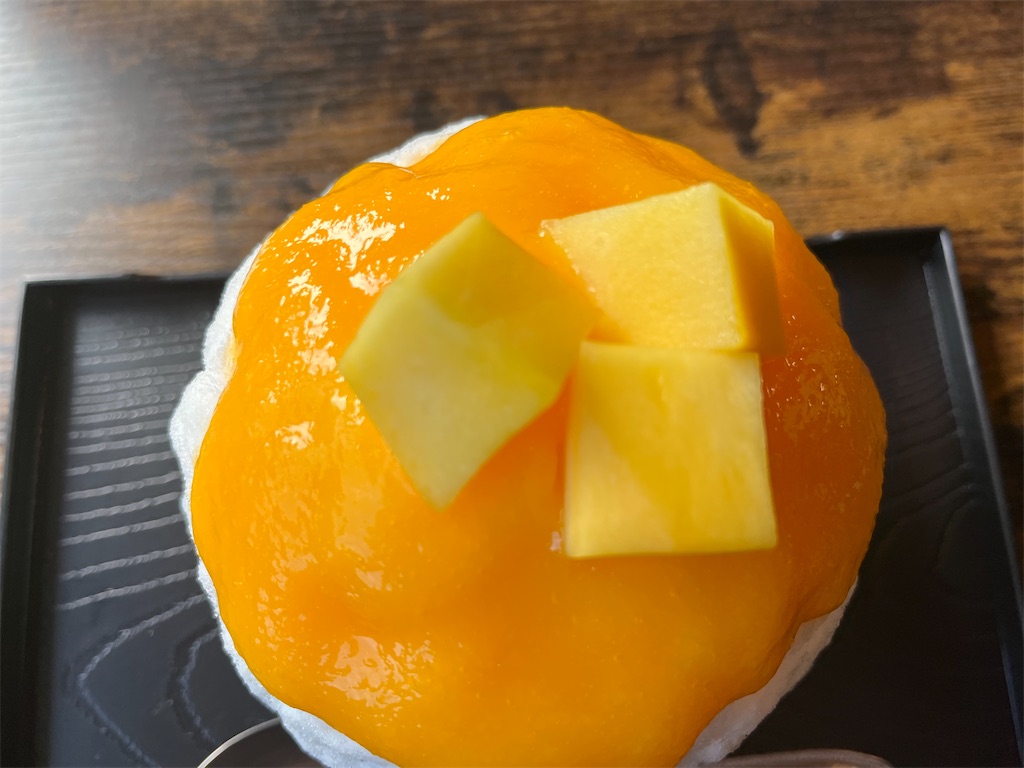 f:id:narutabi:20240819084554j:image