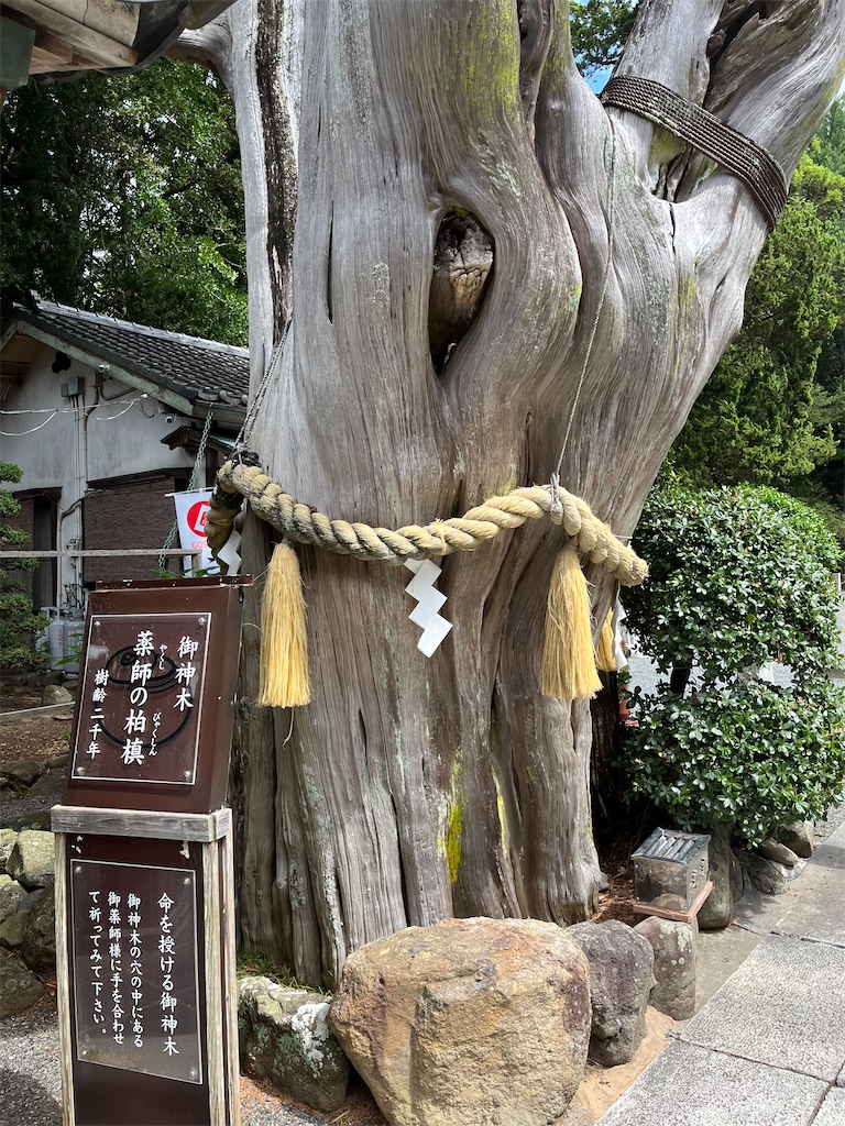 f:id:narutabi:20240828094908j:image