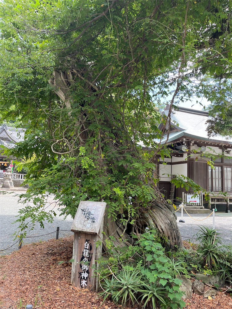 f:id:narutabi:20240828095035j:image