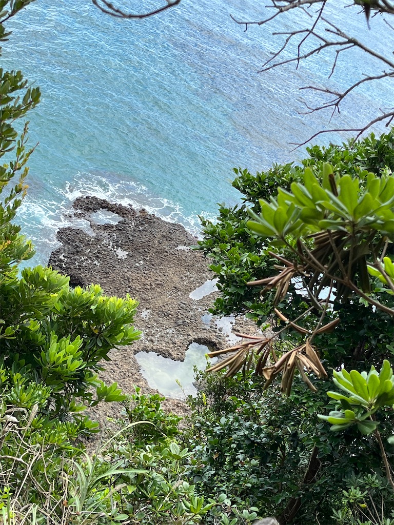 f:id:narutabi:20240828115134j:image