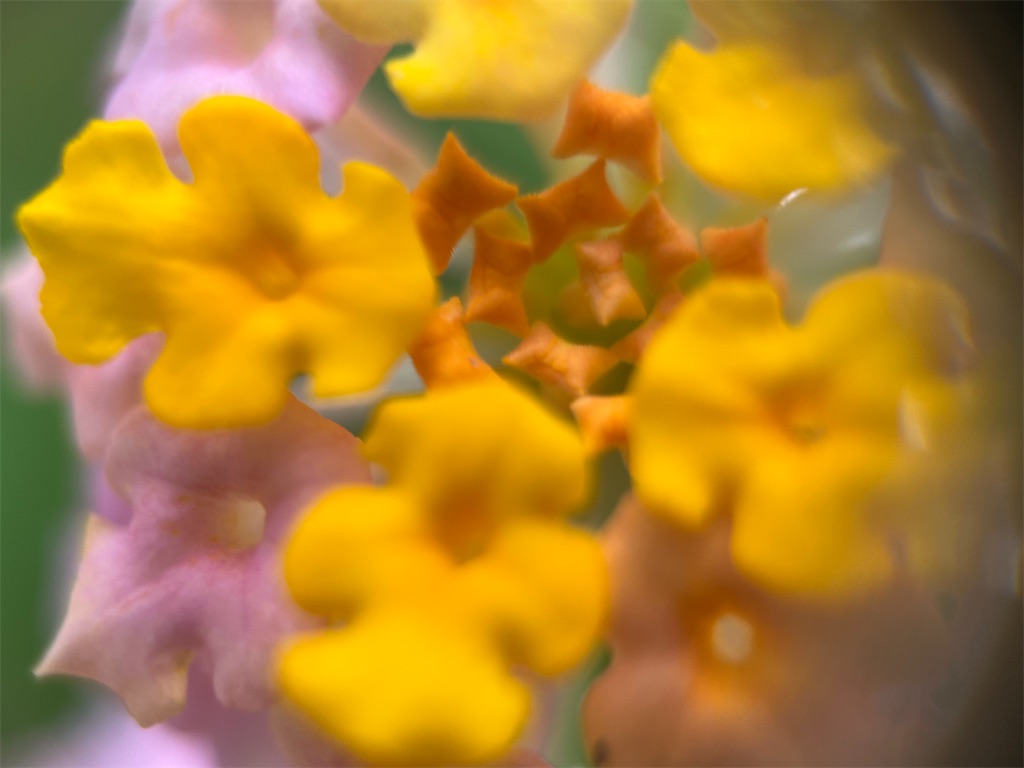 f:id:narutabi:20240829235032j:image