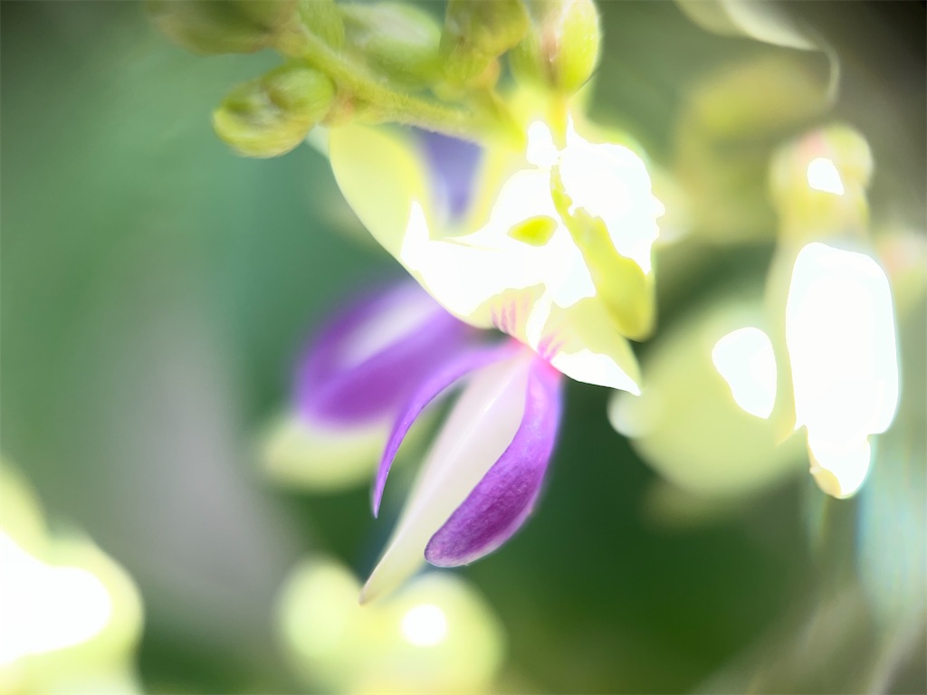 f:id:narutabi:20240923123132j:image
