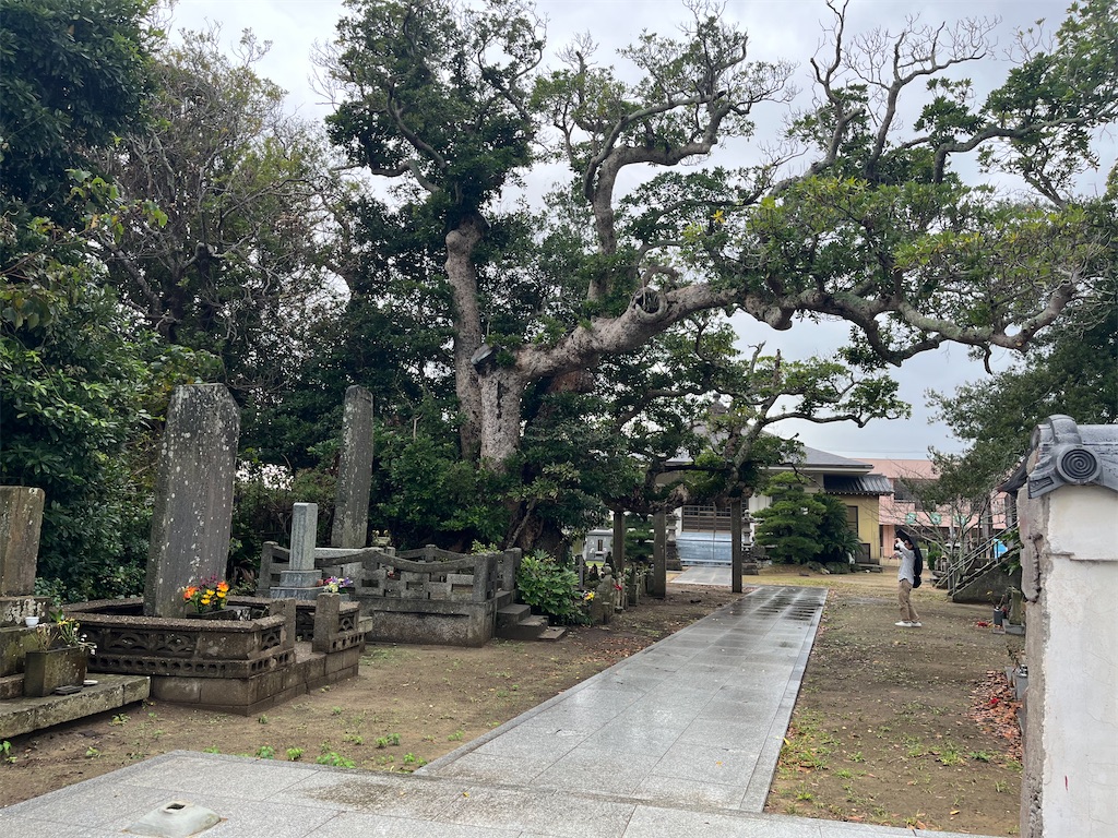 f:id:narutabi:20241019120521j:image f:id:narutabi:20241019120521j:image