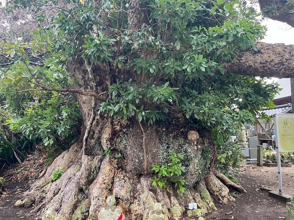 f:id:narutabi:20241019120631j:image f:id:narutabi:20241019120631j:image