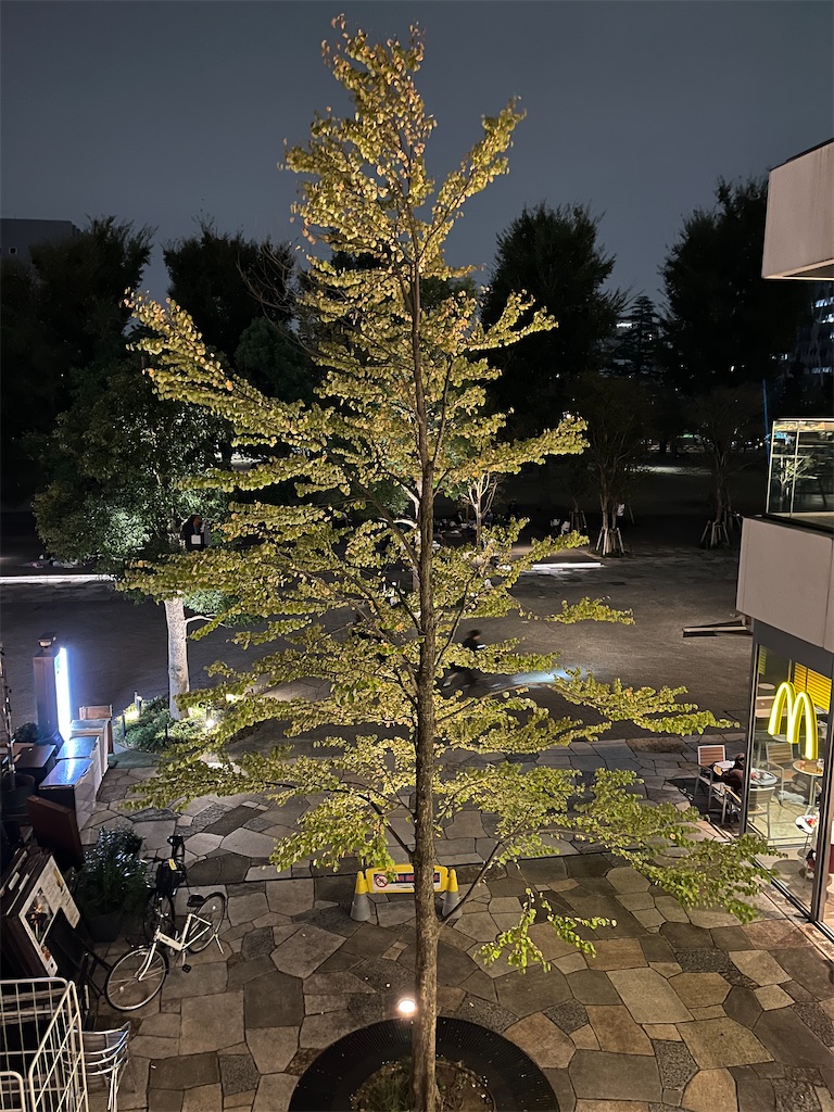 f:id:narutabi:20241028070504j:image