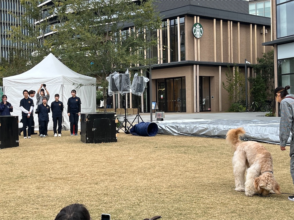 f:id:narutabi:20241111201916j:image