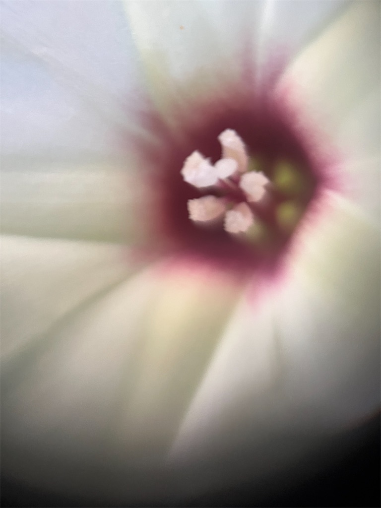 f:id:narutabi:20241128163817j:image f:id:narutabi:20241128163817j:image