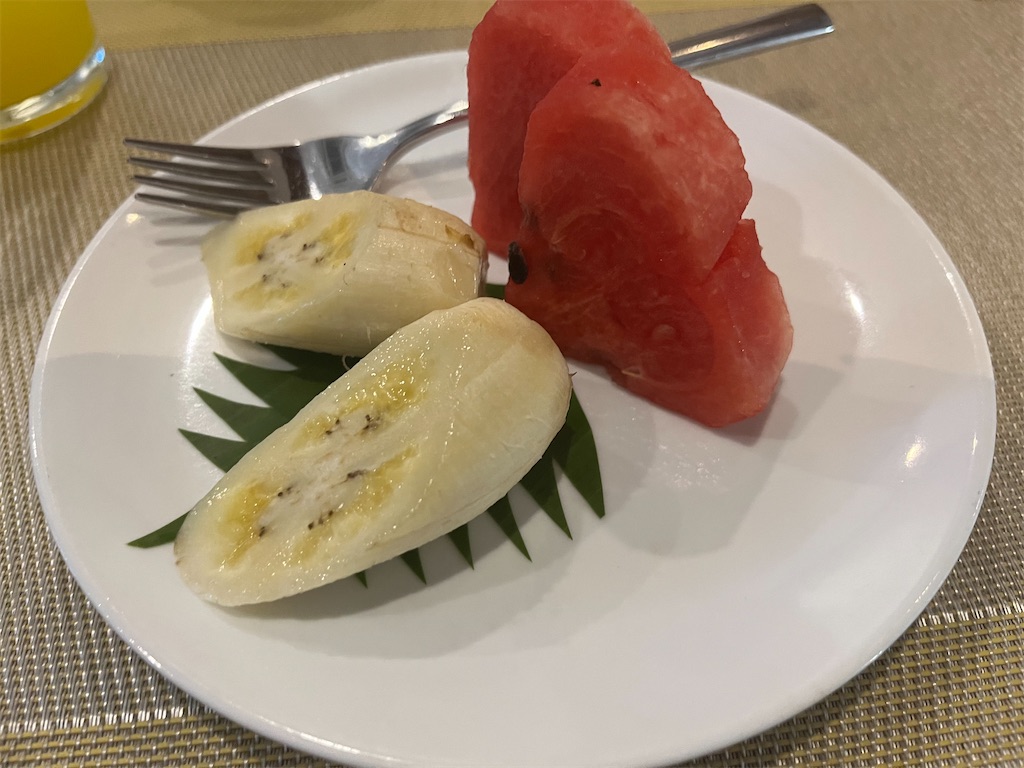 f:id:narutabi:20241203204342j:image