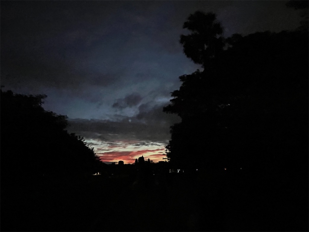 f:id:narutabi:20241206205107j:image