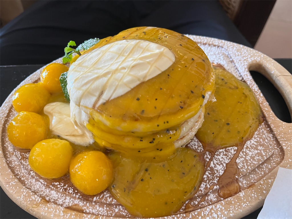 f:id:narutabi:20241212215959j:image