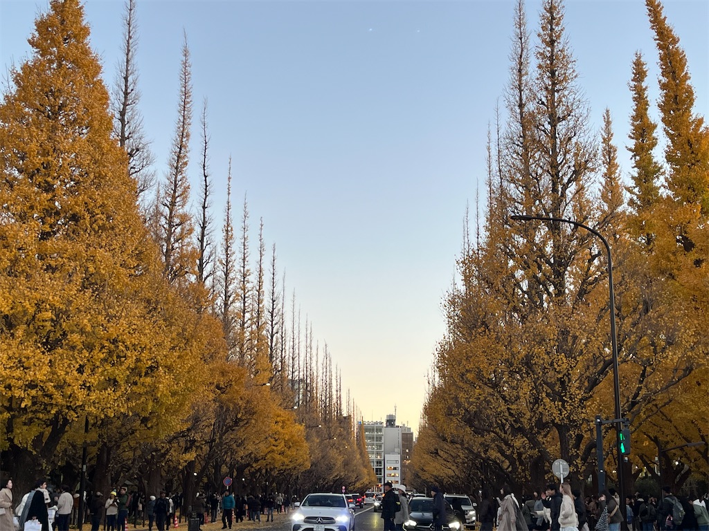 f:id:narutabi:20241213205216j:image