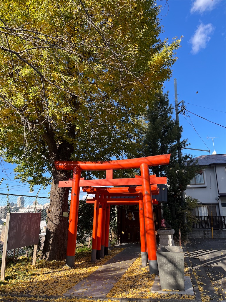 f:id:narutabi:20241213205222j:image