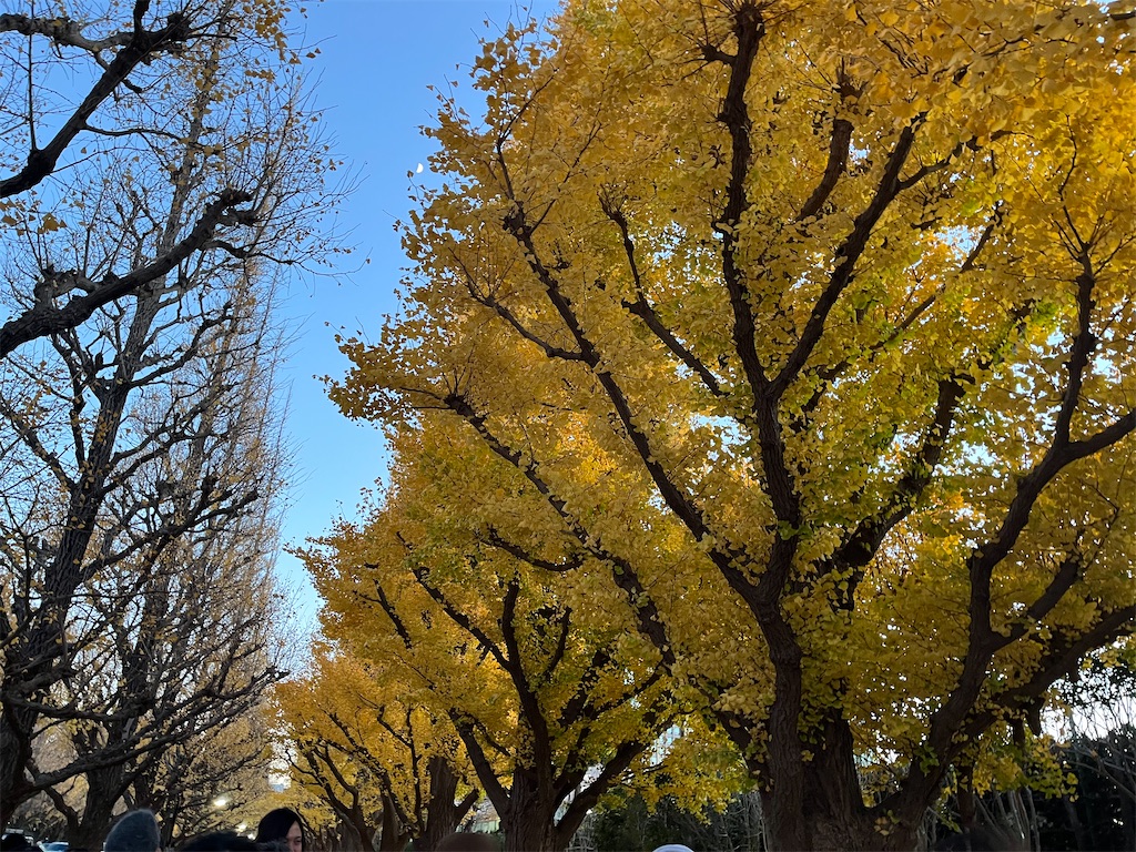 f:id:narutabi:20241213205229j:image