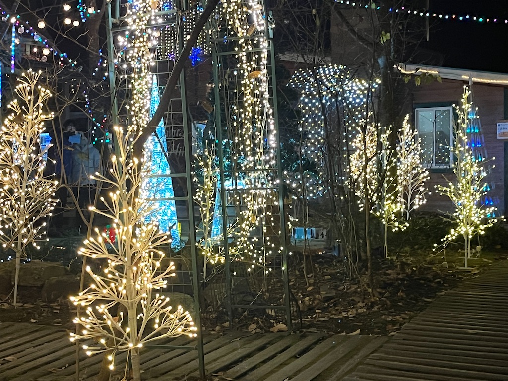 f:id:narutabi:20241223214057j:image