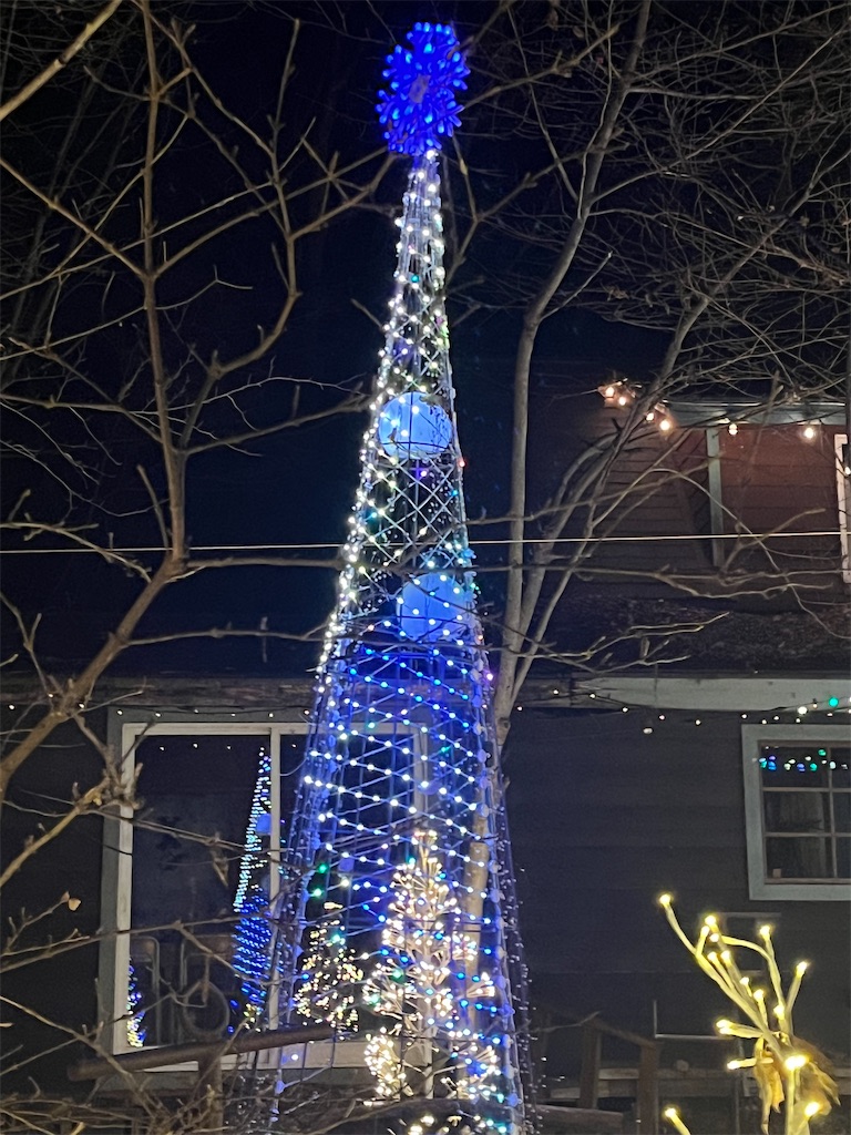 f:id:narutabi:20241223214119j:image