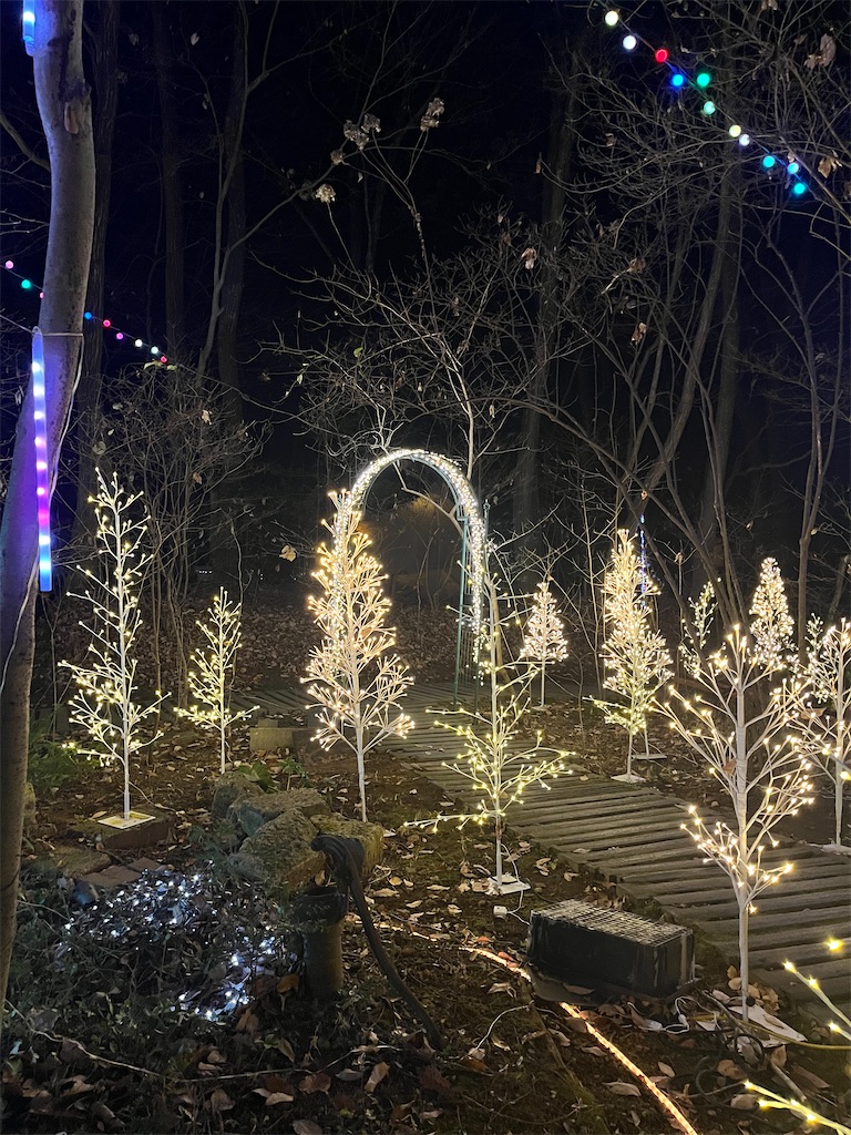 f:id:narutabi:20241223214249j:image