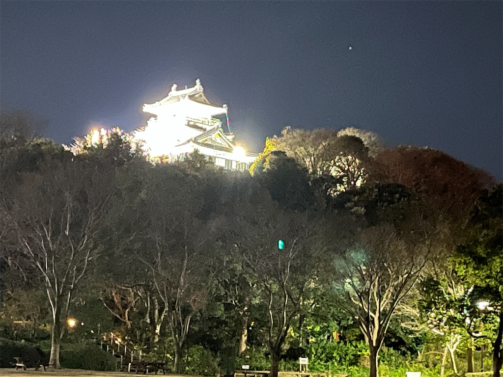 f:id:narutabi:20250113112402j:image