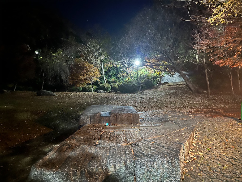 f:id:narutabi:20250113112416j:image