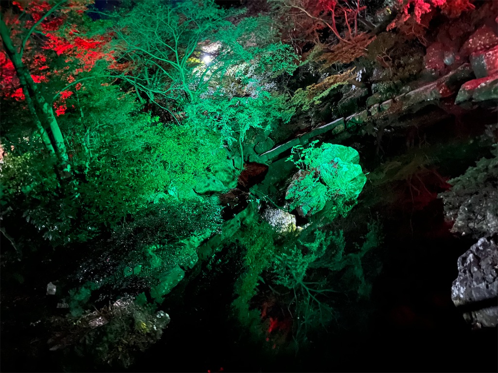 f:id:narutabi:20250113112426j:image